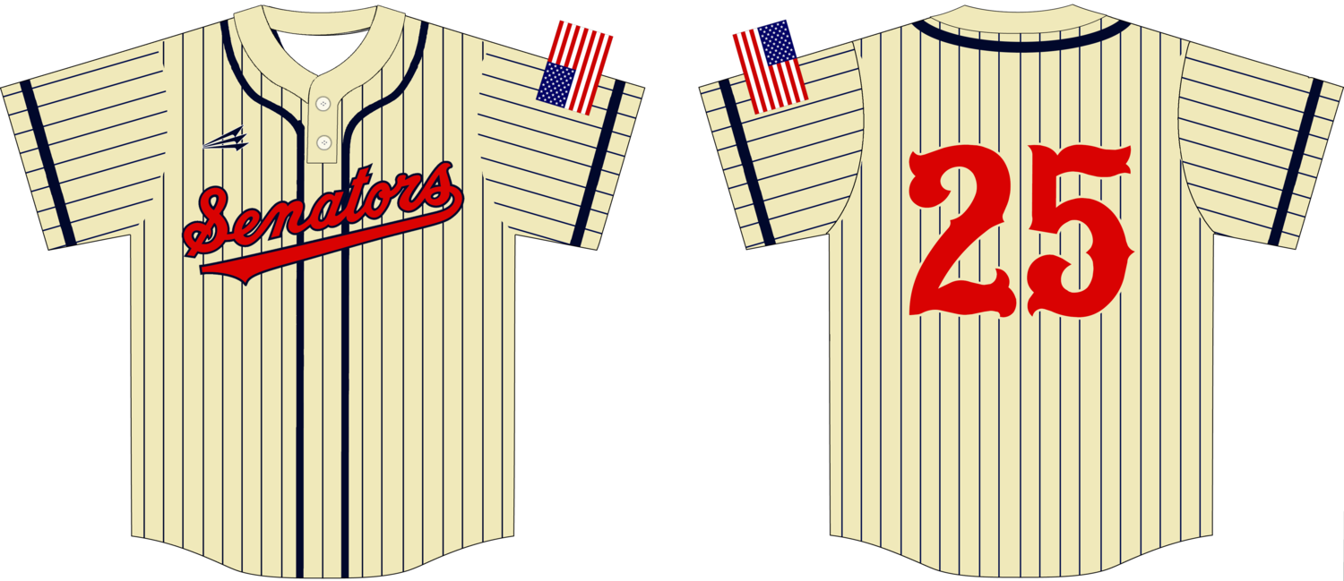 Bill Arp Senators Custom NanoDri Baseball Jersey #J1E
