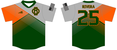 OB Team Custom Baseball Jersey #2