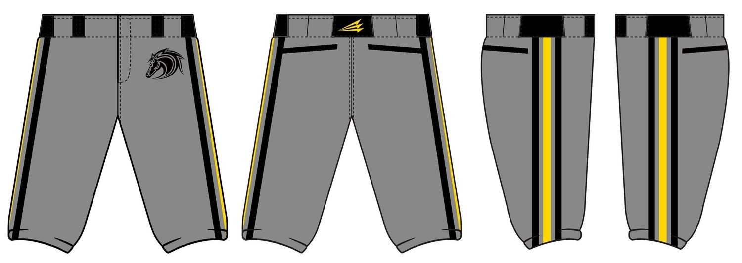 Stallions Baseball Custom Baseball Pants #2b