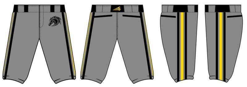 Stallions Baseball Custom Baseball Pants #2b
