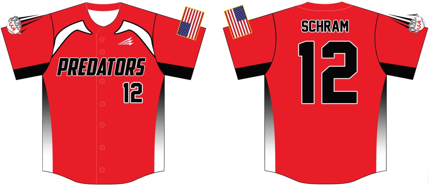 Capital City Predators Custom Baseball Jersey #2d