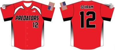 Capital City Predators Custom Baseball Jersey #2d