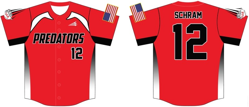 Capital City Predators Custom Baseball Jersey #2d