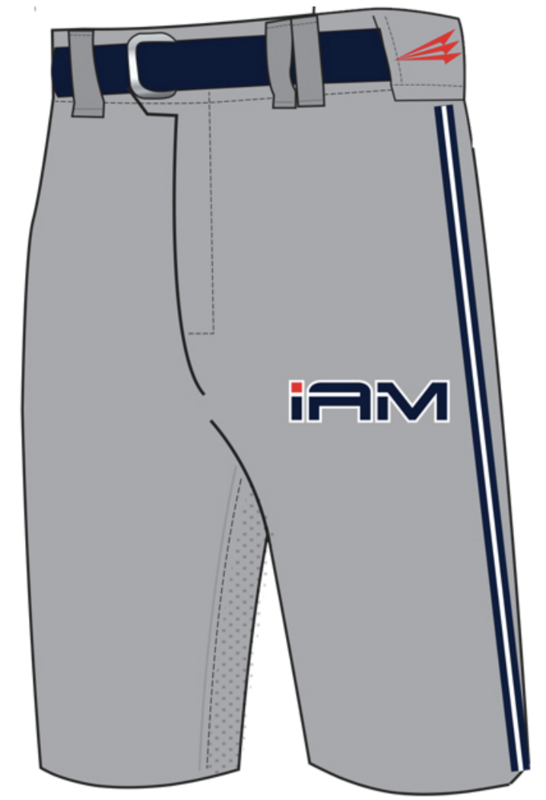 I Am Baseball Custom Baseball Knicker Pant #P1