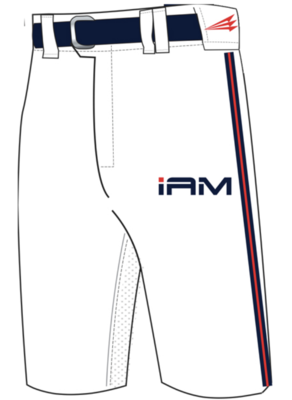 I Am Baseball Custom Baseball Knicker Pant #P2