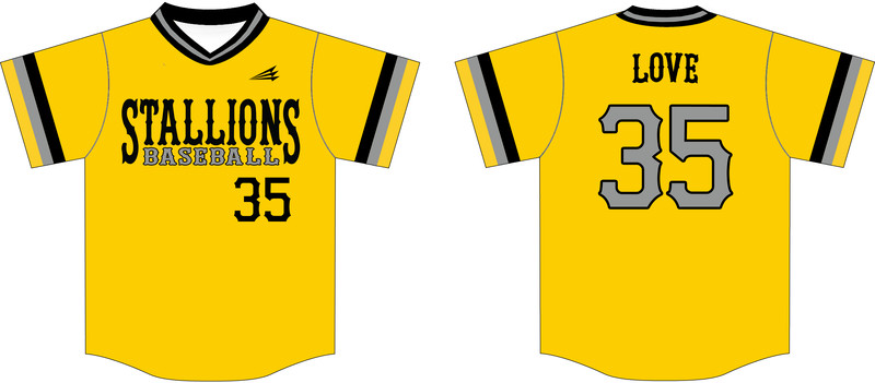 Stallions Baseball Custom HexaFlex Baseball Jersey #5b