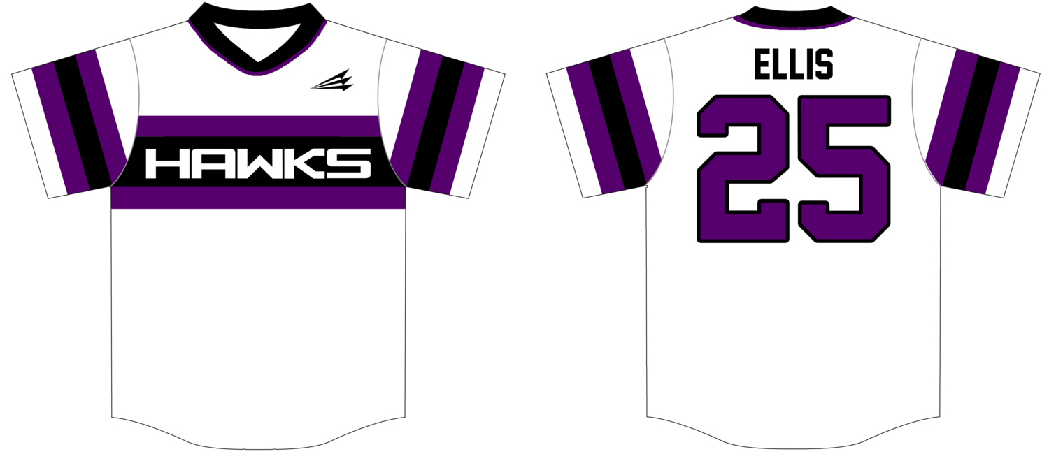 Danville Hawks Custom Baseball Jersey Design #1