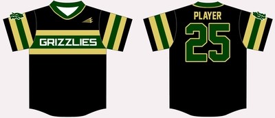 Chandler Grizzlies Custom Baseball Jersey Design #1