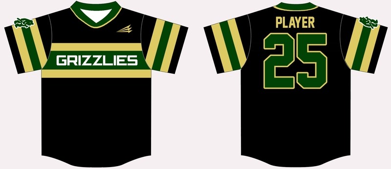Chandler Grizzlies Custom Baseball Jersey Design #1