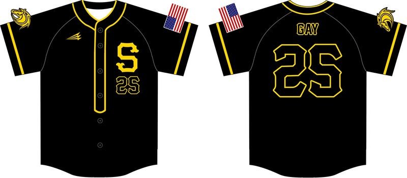 Stallions Baseball Custom Baseball Jersey #2