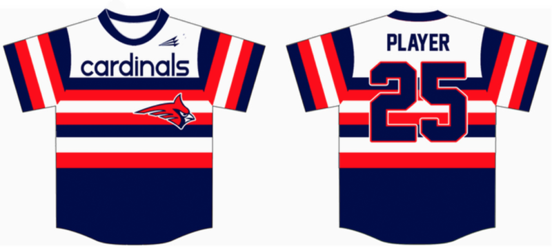 Carroll Manor Cardinals Custom Baseball Jersey Design #4