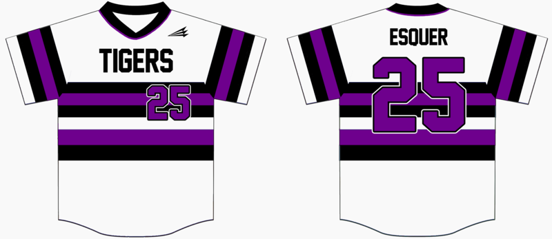 Litchfield Park Tigers Baseball Jersey 2