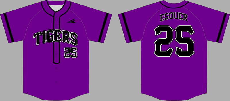 Litchfield Park Tigers Baseball Jersey