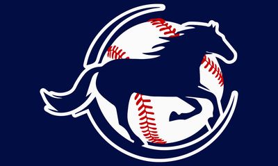 Arizona Mustangs