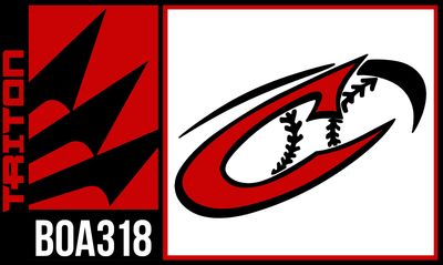 The Cage 13U Black BOA