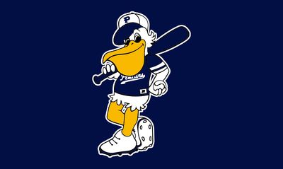 Pelicans Baseball Club Tanna BOA