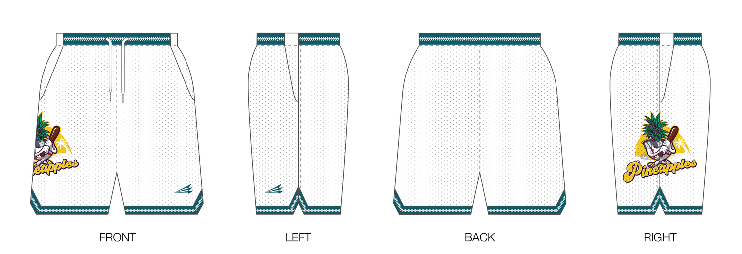 Pineapples Custom Retro Mesh Shorts #MS2B