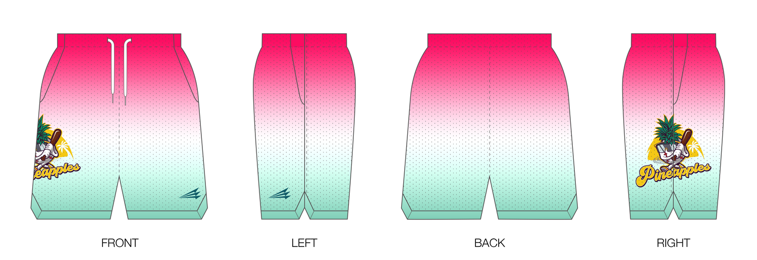 Pineapples Custom Retro Mesh Shorts #MS1