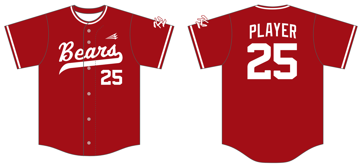 Kaiserslautern Bears Custom NanoDri Baseball Jersey