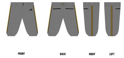 Southeast Iowa Swarm Custom Knicker Baseball Pants #BP2D