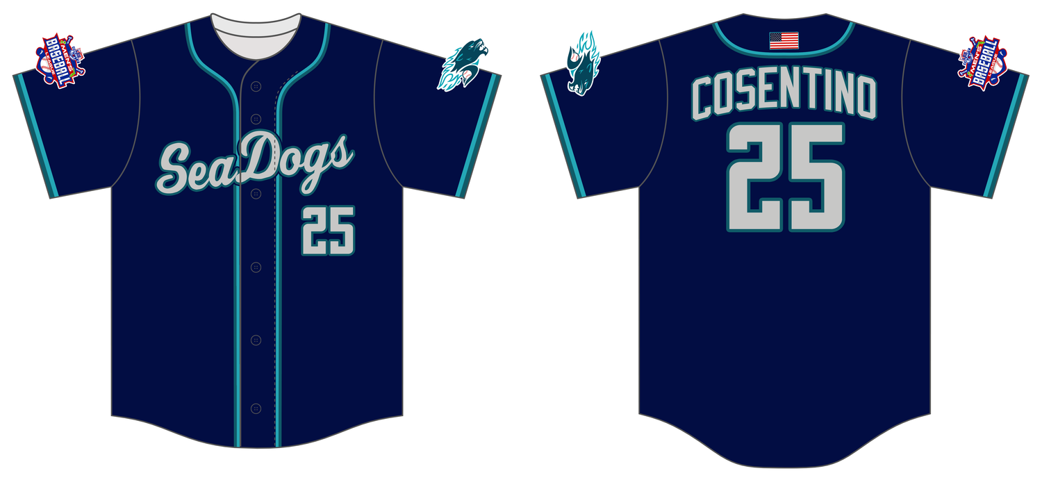 Hydro Pro Seadogs Custom FABRIC Baseball Jersey #J12B