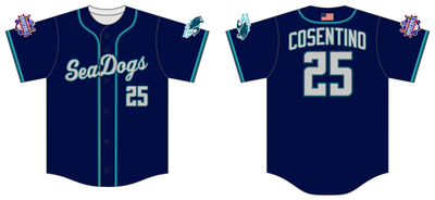 Hydro Pro Seadogs Custom FABRIC Baseball Jersey #J12B