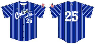 Cotter Warriors Custom HexaFlex Baseball Jersey #J1D