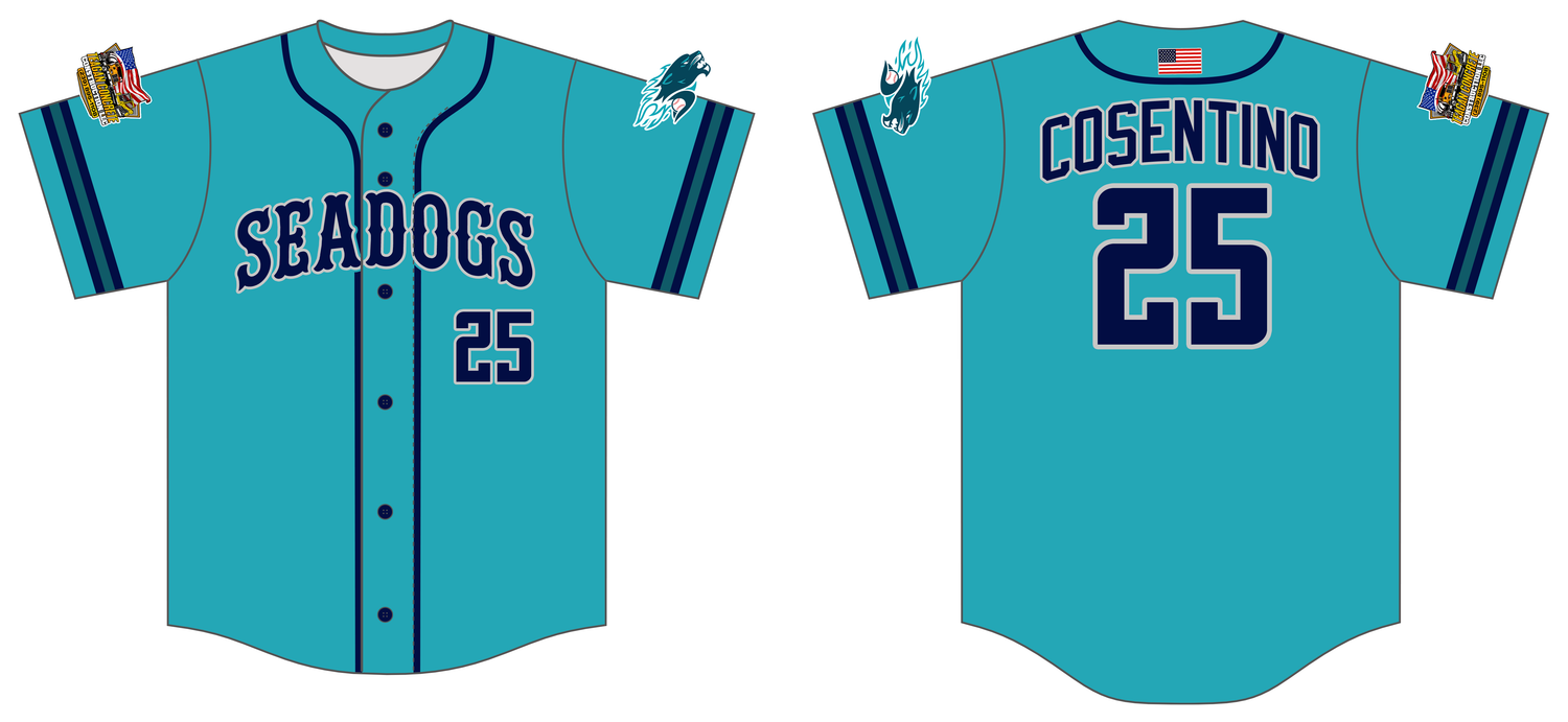 Hydro Pro Seadogs Custom FABRIC Baseball Jersey #J13C