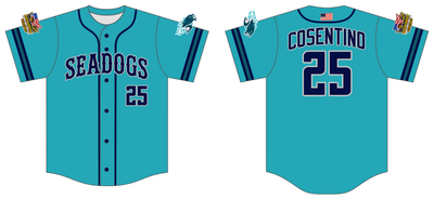 Hydro Pro Seadogs Custom FABRIC Baseball Jersey #J13C