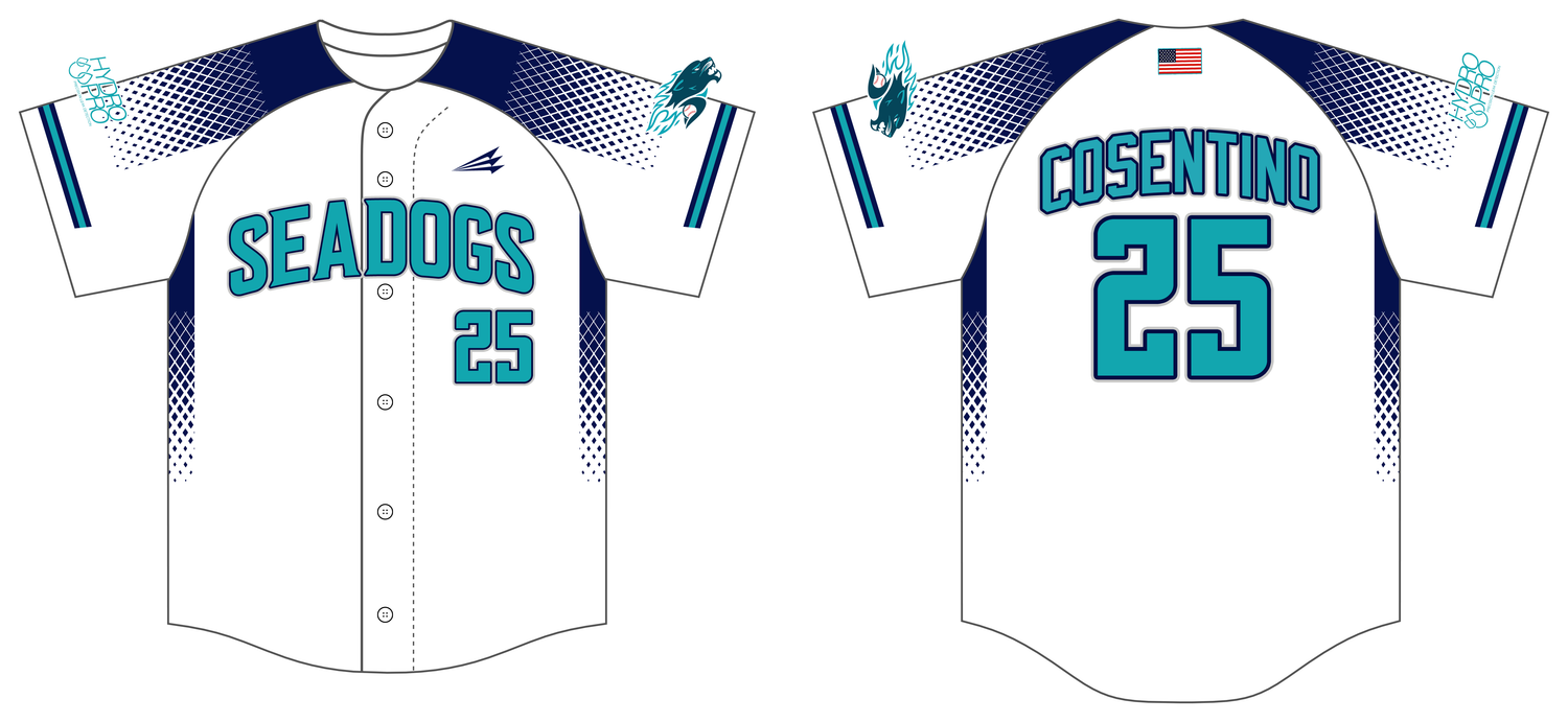Hydro Pro Seadogs Custom FABRIC Baseball Jersey #J14B