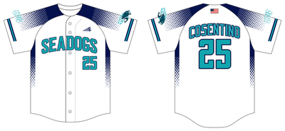 Hydro Pro Seadogs Custom FABRIC Baseball Jersey #J14B