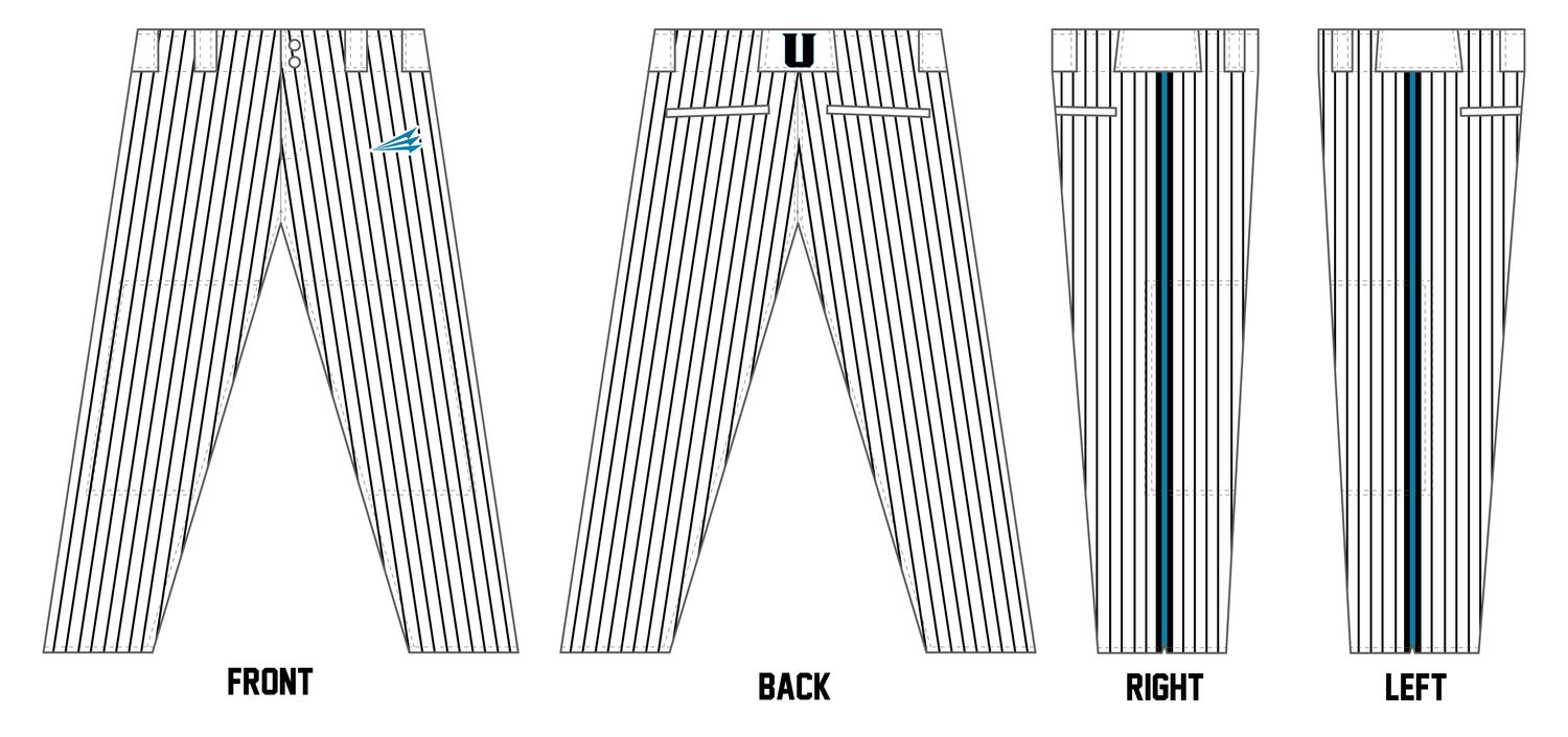 Unleashed Athletics Custom Athletic Baseball Pant #BP41