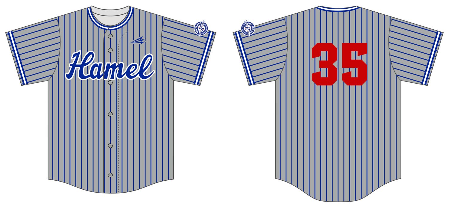 Hamel Hawks Custom NanoDri Baseball Jersey #J2E