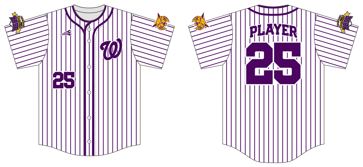 WCYBSA Lynx Baseball Custom HexaFlex Baseball Jersey #J4B