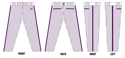 WCYBSA Lynx Baseball Custom Athletic Cut Baseball Pant #BP4