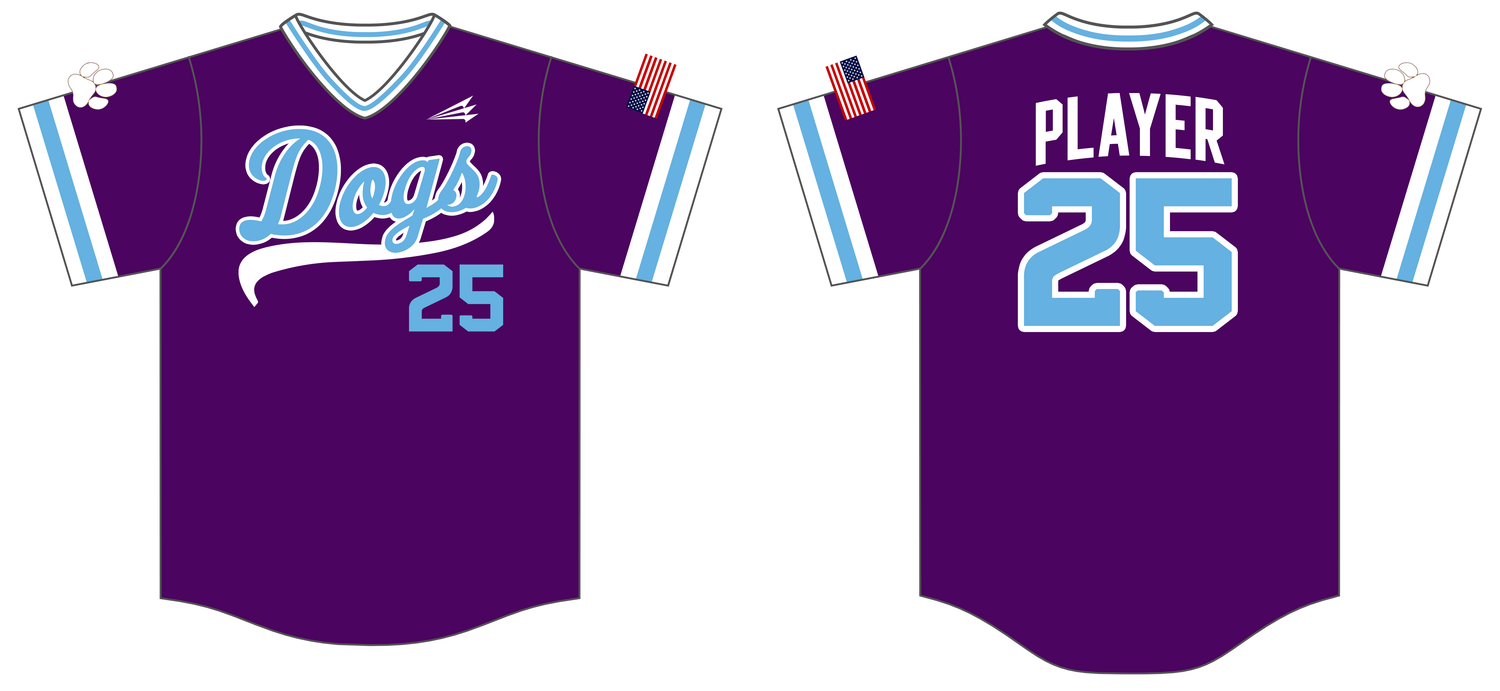 Diamond Dogs Custom HexaFlex Baseball Jersey #J2B