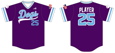 Diamond Dogs Custom HexaFlex Baseball Jersey #J2B