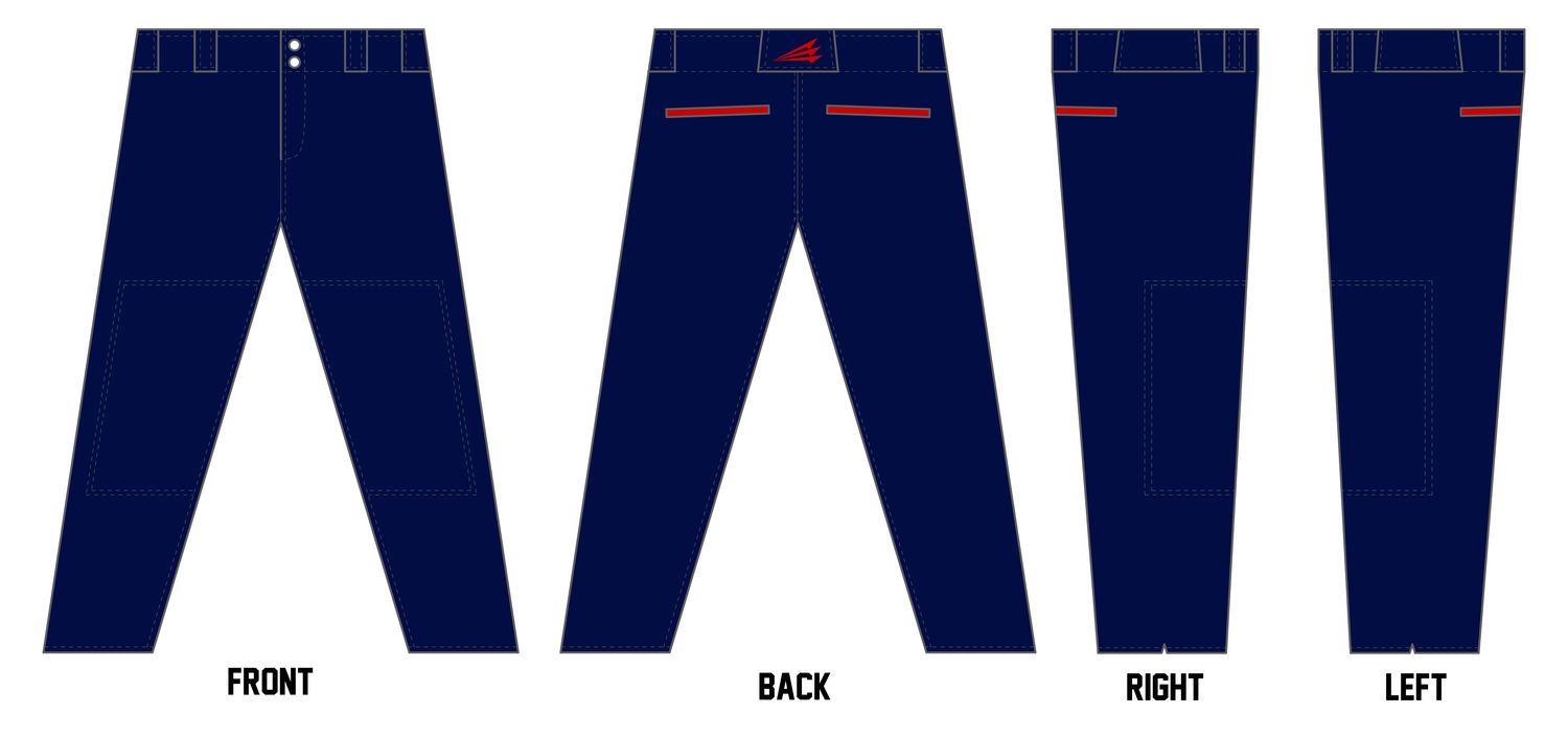 Swarm Baseball Custom Athletic Cut Baseball Pant #BP13B