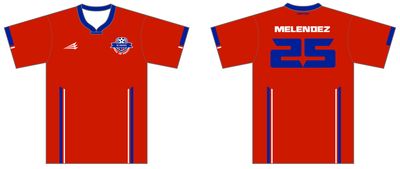 DC Bravos Custom Male HyperDri Soccer Jersey #J4b