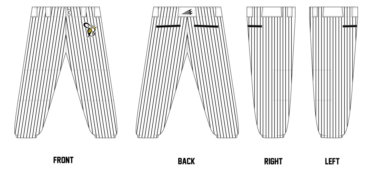 Queen Bees Custom Fastpitch Pants #FP3