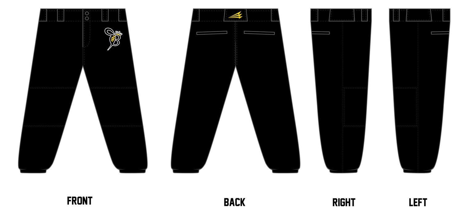 Queen Bees Custom Fastpitch Pants #FP7