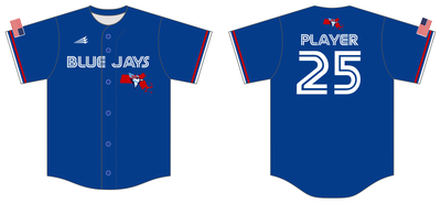 Massachusetts Blue Jays Custom NanoDri Baseball Jersey #J2C