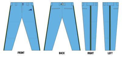 Bobcats (Whitney) Custom Athletic Cut Baseball Pants #BP15