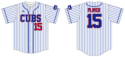 Mid-Michigan Cubs Custom HexaFlex Baseball Jersey #J6C