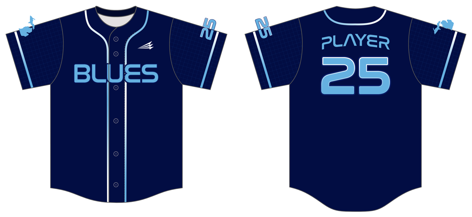 South Coast Blues Custom NanoDri Baseball Jersey #J6B