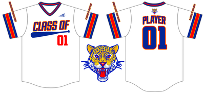 Class Of 2001 (Stapleton) Custom HexaFlex Baseball Jersey #J1D