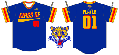 Class Of 2001 (Stapleton) Custom HexaFlex Baseball Jersey #J1B