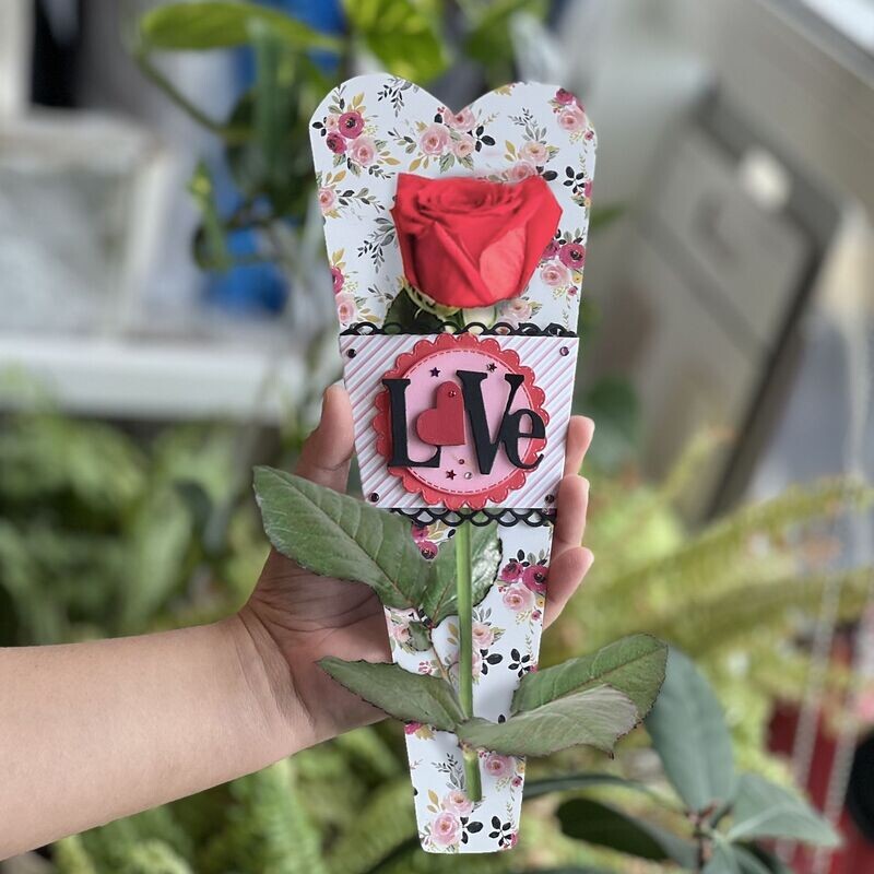 Single Rose Flower