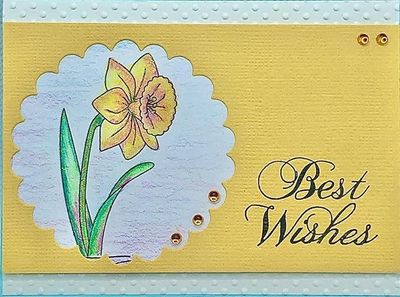 Best Wishes Yellow Flower