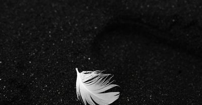 Symphaty